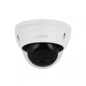 Dahua 2MP IR Fixed-focal Dome Network Camera, DH-IPC-HDBW2241EP-S