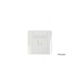 Eight 1 port Wallplate Cover, FPRJ4501