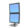 Ergotron DS100 雙顯示器台式支架,垂直, 33-091-200 (黑色)Ergotron 工業