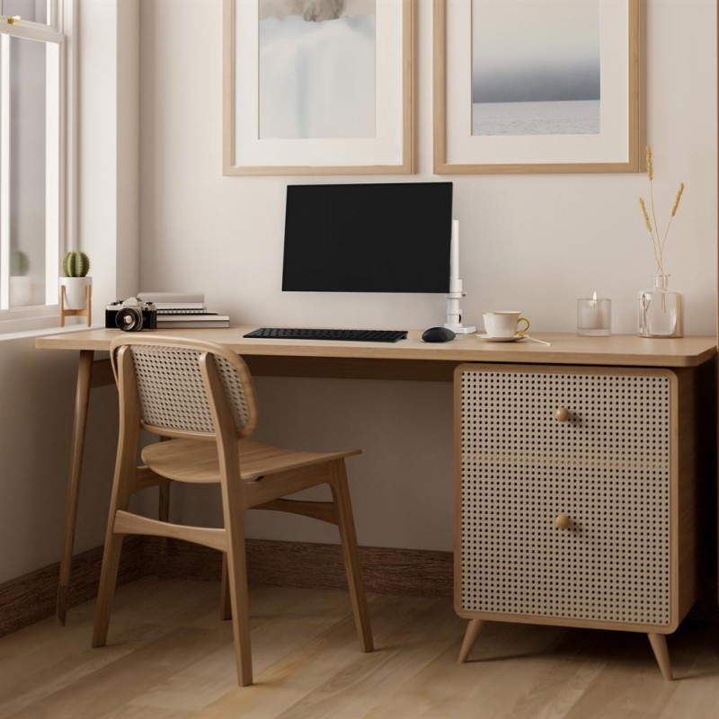 Ergotron NX 顯示器支臂Ergotron 工業