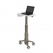 Ergotron CareFit Slim Laptop Cart, C50-1100-0