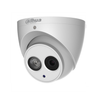 Dahua 2MP Starlight HDCVI IR Eyeball Camera, DH-HAC-HDW1230EMP-A