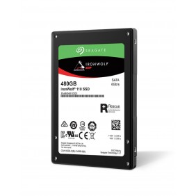 Seagate IronWolf 480GB 2.5" SSD, 型號: ZA480NM10011