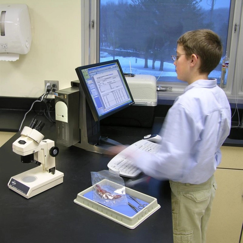 Ergotron Neo-Flex 多合一升降支架, 33-338-085 (黑色)Ergotron 工業