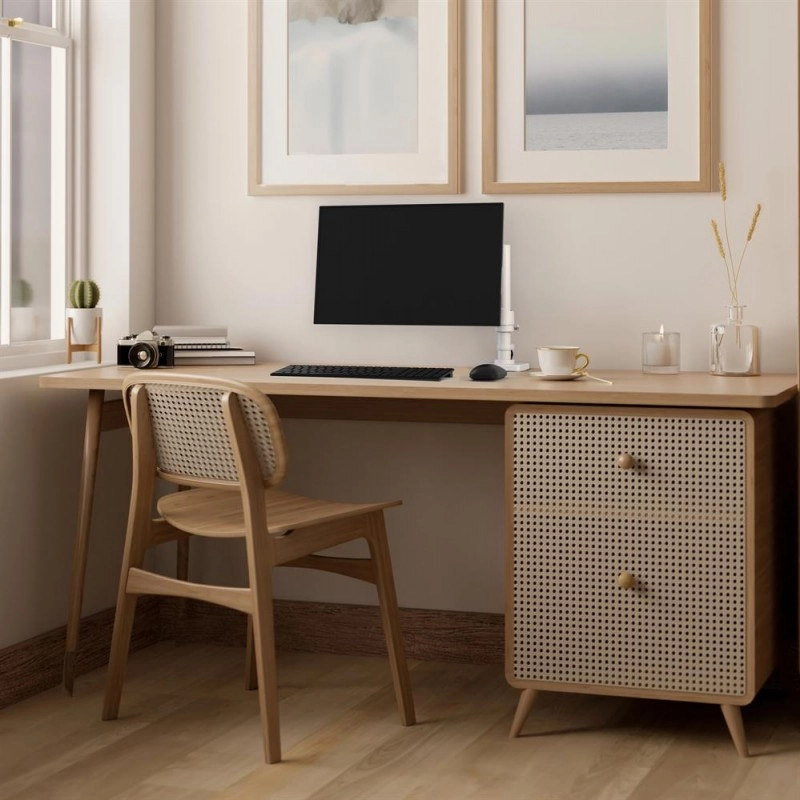 Ergotron NX 顯示器支臂Ergotron 工業