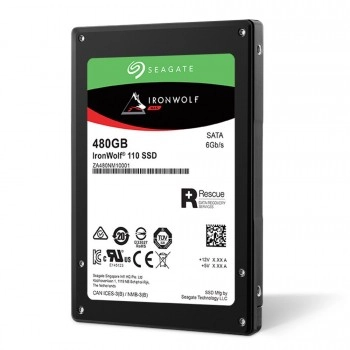 Seagate IronWolf 480GB 2.5" SSD, 型號: ZA480NM10011