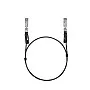 TP-Link Omada 1M Direct Attach SFP+ 直連電纜, SM5220-1M