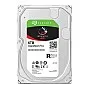 Seagate IronWolf Pro 6TB 3.5吋 內置硬碟, ST6000NT001