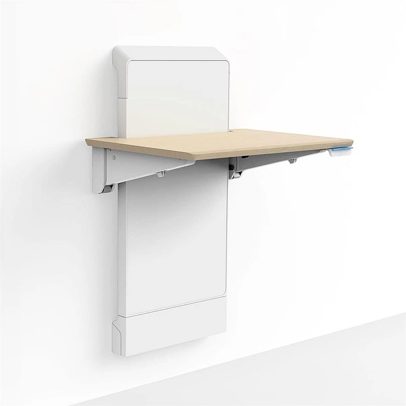 Ergotron WorkFit Elevate Wall Mounted Desk - E-24-804 Monitor Arms ｜ 衍光HinKwong 香港