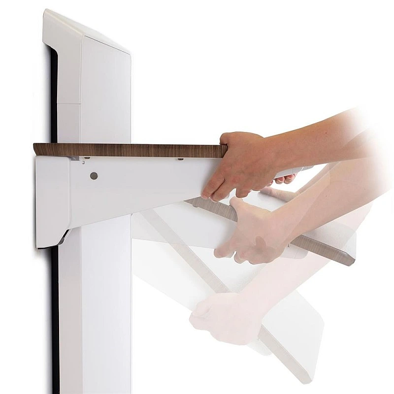 Ergotron WorkFit Elevate Wall Mounted Desk - E-24-804 Monitor Arms ｜ 衍光HinKwong 香港