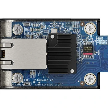 Synology E10G22-T1-Mini