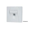 Eight 1 port Angled Wallplate Cover, FPRJ4501A - E-FPRJ4501A Network Mateials ｜ 衍光HinKwong 香港