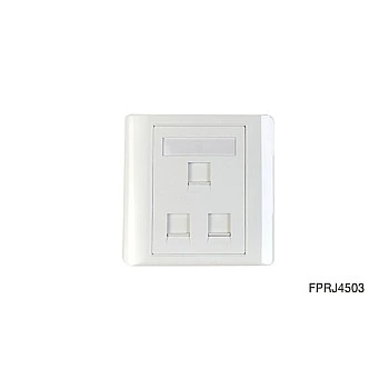 Eight 3 ports Wallplate Cover, FPRJ4503