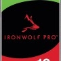 Seagate IronWolf Pro 12TB 3.5吋 內置硬碟, ST12000NT001
