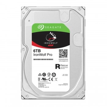 Seagate IronWolf Pro 6TB 3.5吋 內置硬碟, ST6000NT001