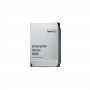 群暉 Synology HAT5300 12TB 3.5" SATA HDD, 型號: HAT5300-12T