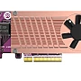 QNAP QM2-2P10G1TB